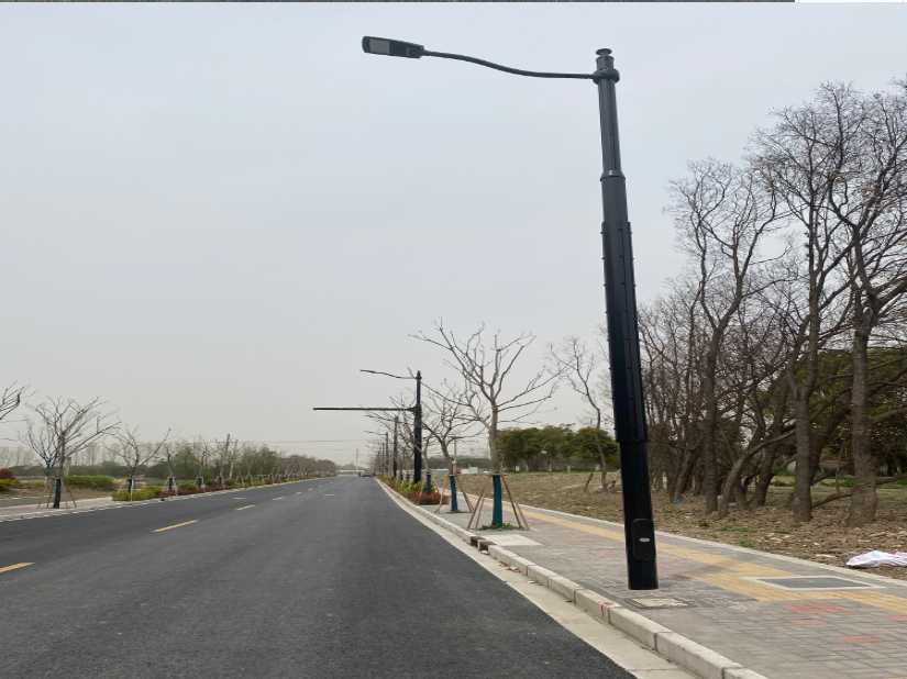 爱民区上海综合杆 太阳能路灯工程